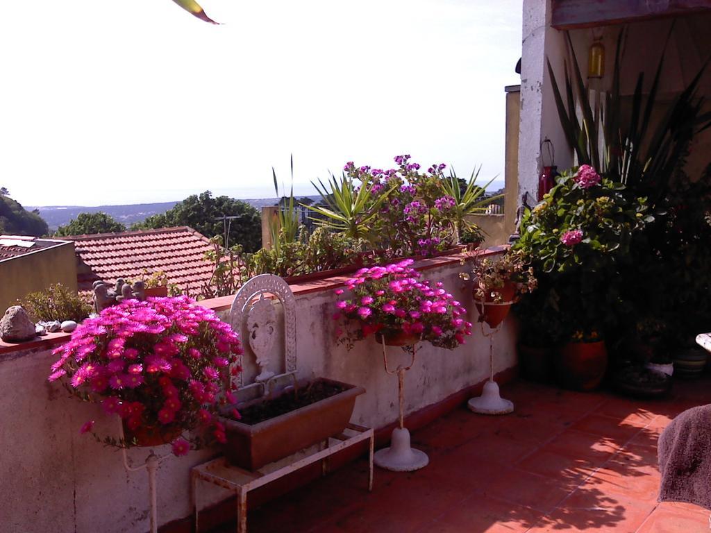 Isa'S Home Sintra Luaran gambar
